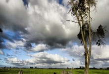 壹号娱乐：安切洛蒂：我们密切关注帕斯，他很优秀，我们会赛季结束后做决定.