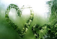 名球迷在法国vs克罗地亚比赛时行纳粹礼，被法国警察逮捕.