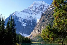 [赛车]2025F1澳大利亚大奖赛诺里斯夺冠 维斯塔潘亚军.