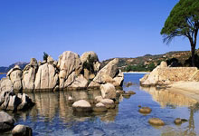 新春走基层｜山东射击手枪队：“老枪”尽显责任与担当.